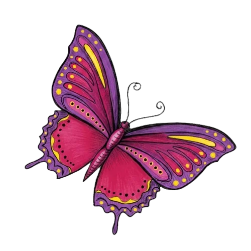 Firefly_Gemini_Flash_can__you_make_this_a_colorful_butterfly-_focus_in_this_colors___D91B5B__9C51B6__FFD50_511914-removebg-preview